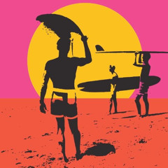 Dr. Zogs extraordinary Beach Tour