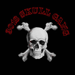 3018SkllGang *