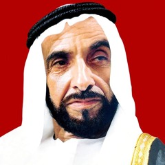 Mohammed salem saeed alkaabi