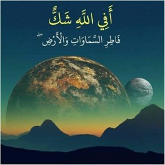 Ahmed Zeid