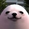 dawealeggdawg