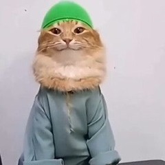 anklebiter