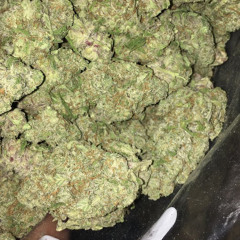 Mr💰Do NoT TALk🤫