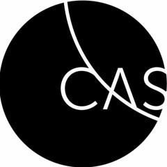 CAS SEE Seminars with Guests: Gregory Morgan Swer