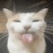 yasinse23