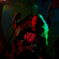 Forest Mountain Lion