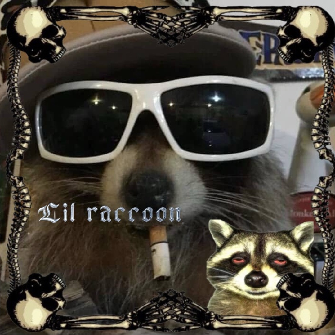 Stream Lil raccoon💽 music | Listen to songs, albums, playlists for free ...