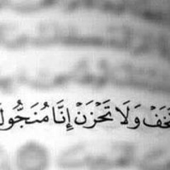 مصطفي سعيد الشافعي