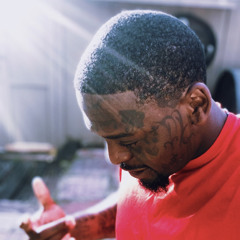 Kanefrm300