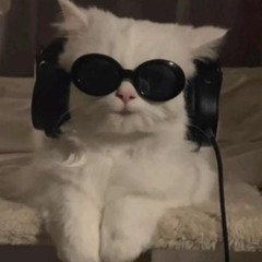 BRUS Deejay