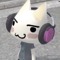 sxt