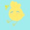 Ducky