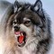 seawolf