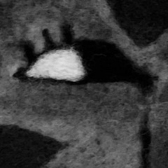 Bella Big Head's Cat