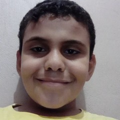 Amir  Al Gazzar