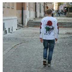 Mstislav V