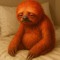 CookedSloth