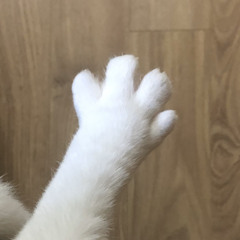 금성