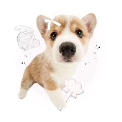 ♡♡