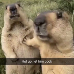 PNXTT