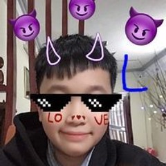 Nguyễn Lê Việt Long