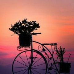 🧚‍♀️🧚‍♂️