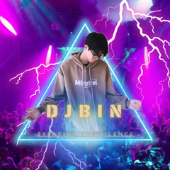 DJ BIN