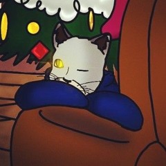 hoodie cat