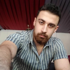 sina shams