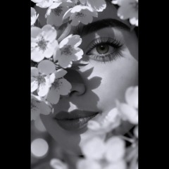 🌸Ｔａｇｈｒｅｅｄ♡ Ａｄｅｌ