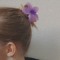 Kimi