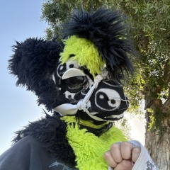 ⋆˚🐾˖°Z4t0.On.PaWz ⋆˚🐾˖°