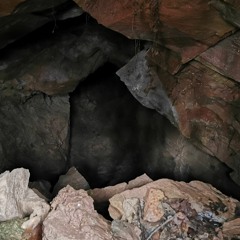 cave man