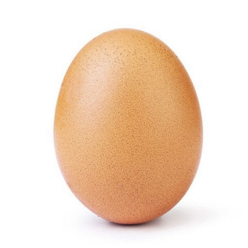 Egg_🥶🥚’s avatar