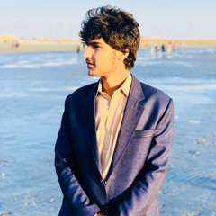Raiszada Naseebzehri