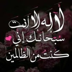 Noha Ismail