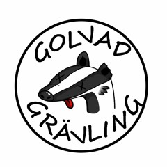 Golvad Grävling
