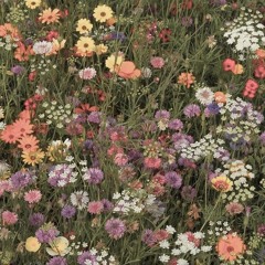 BADDIEJUICE ｜ SYBER： 009