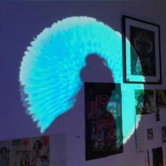 Acidscout