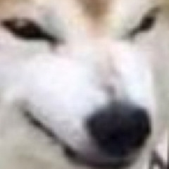 ruffworlock