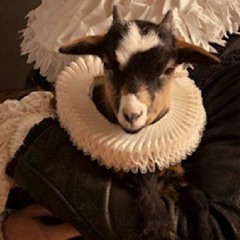 yoshua
