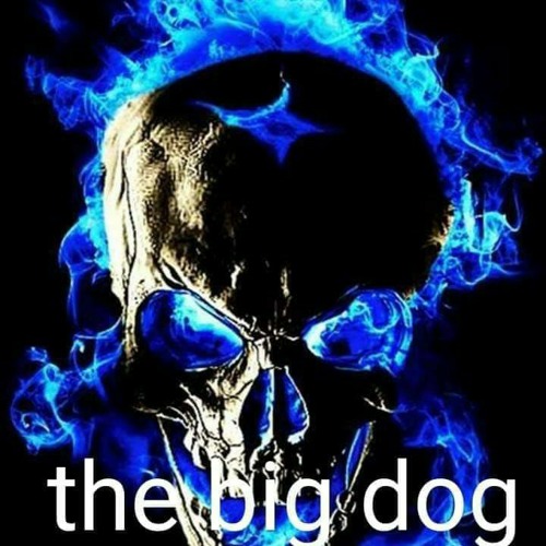 The Big Dog’s avatar