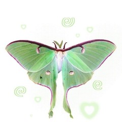 uglyfleshfairy