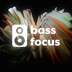 bass focus