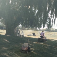 Under the Willow Tree