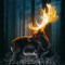 Wild_Thor
