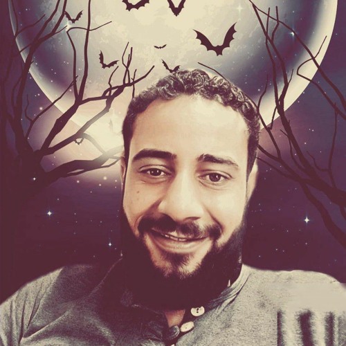 Ayman Amin’s avatar