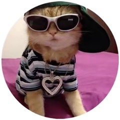 meow meow