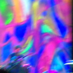The Fly on The Wall