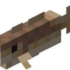 username203